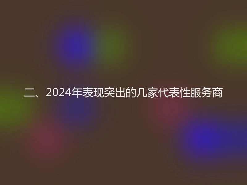 二、2024年表现突出的几家代表性服务商
