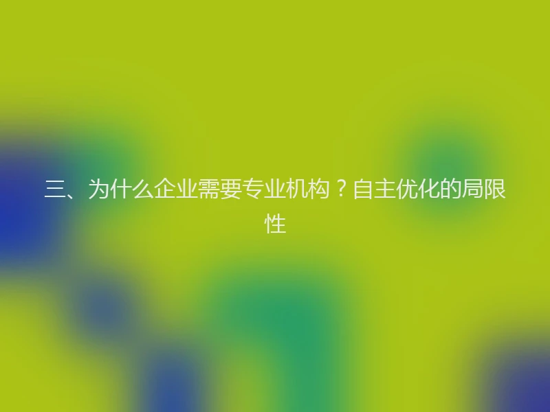 三、为什么企业需要专业机构？自主优化的局限性