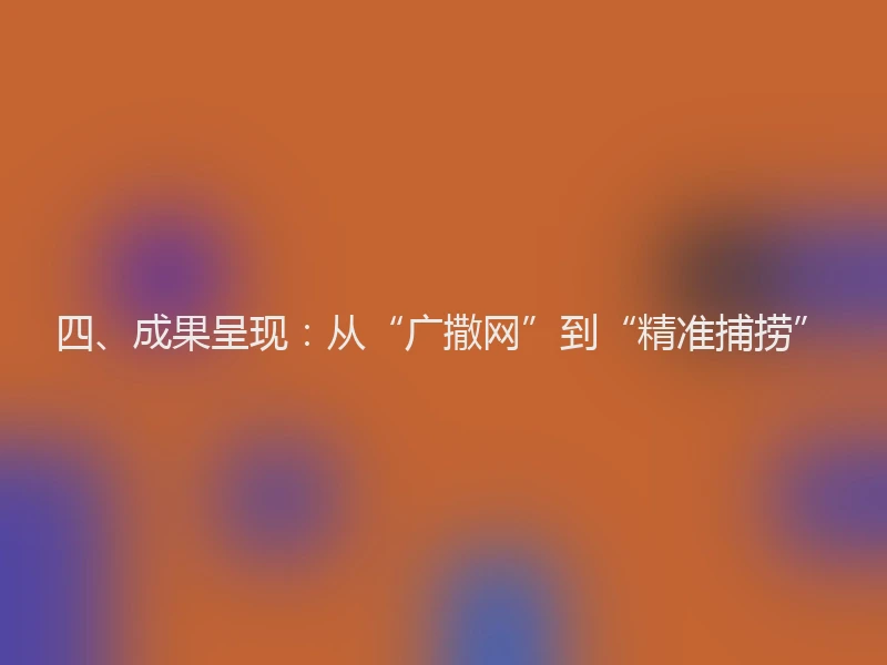四、成果呈现：从“广撒网”到“精准捕捞”