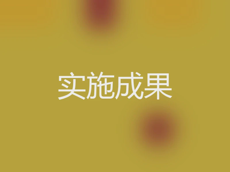 实施成果