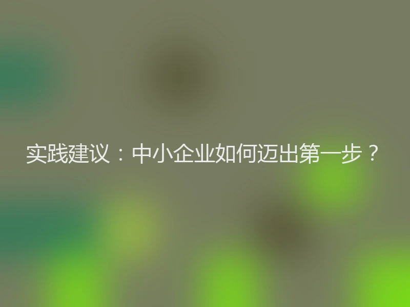 实践建议：中小企业如何迈出第一步？