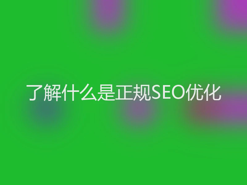 了解什么是正规SEO优化
