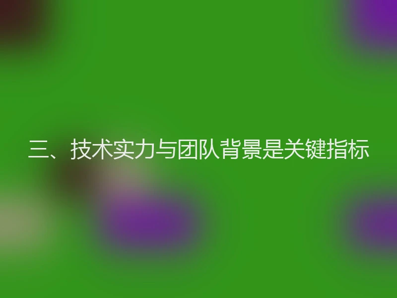 三、技术实力与团队背景是关键指标