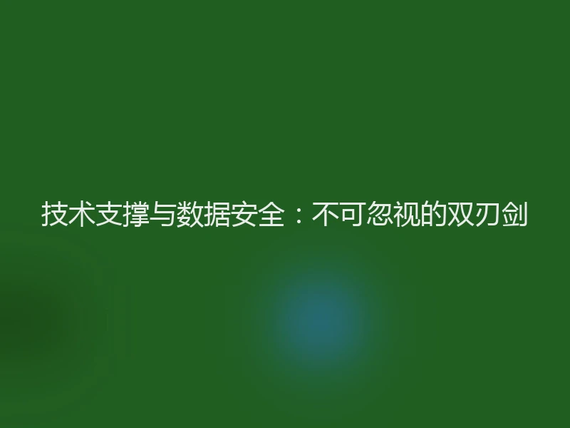 技术支撑与数据安全：不可忽视的双刃剑