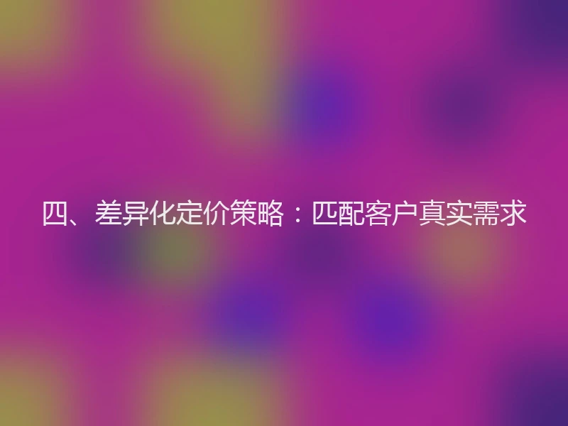 四、差异化定价策略:匹配客户真实需求