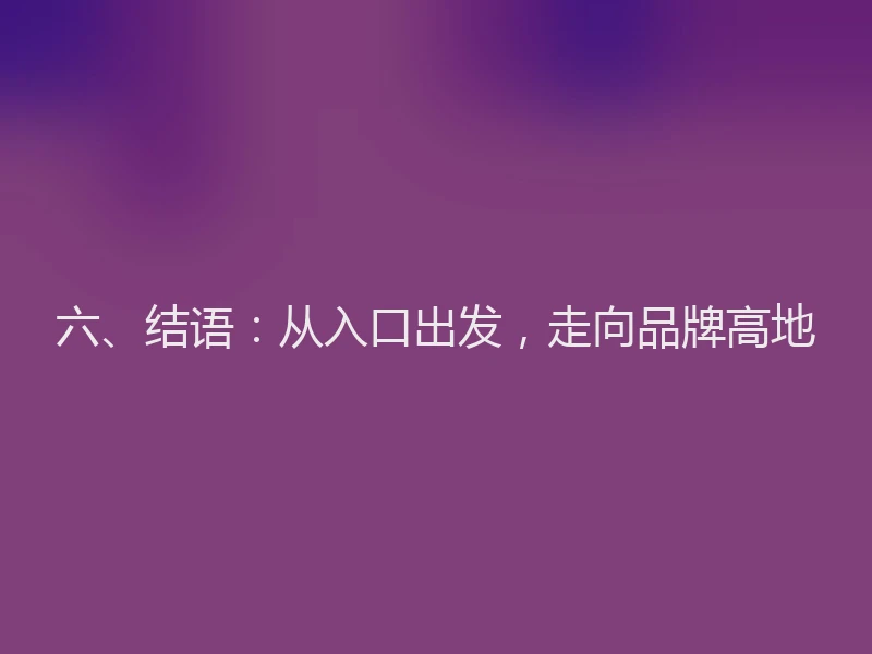 六、结语：从入口出发，走向品牌高地