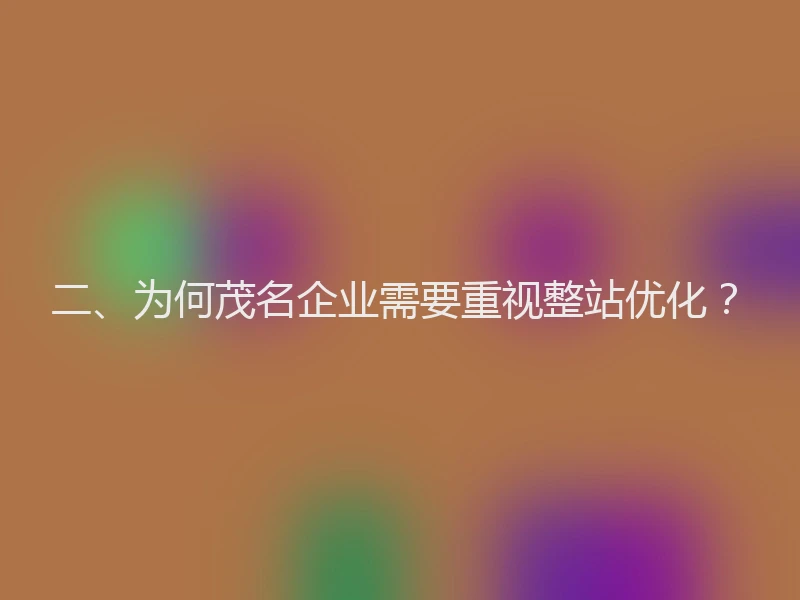二、为何茂名企业需要重视整站优化？