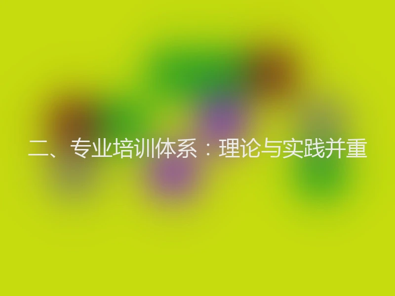 二、专业培训体系：理论与实践并重