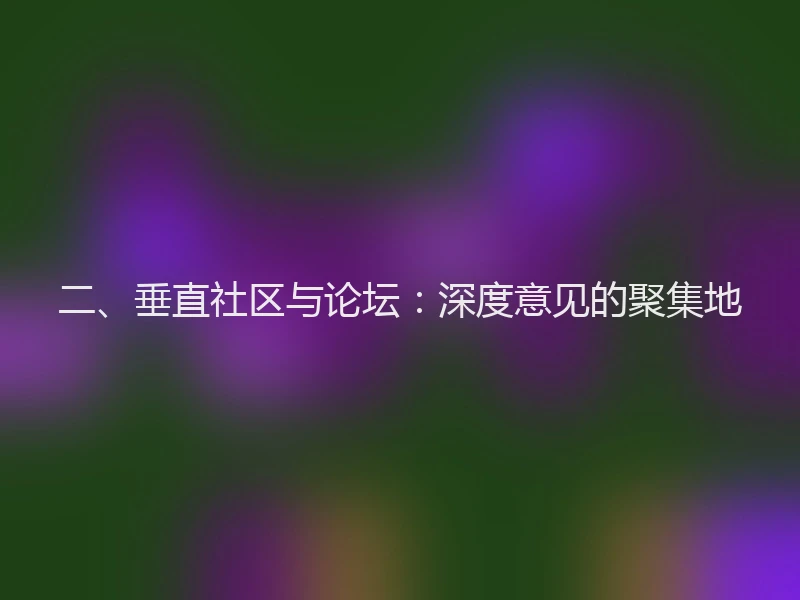 二、垂直社区与论坛：深度意见的聚集地