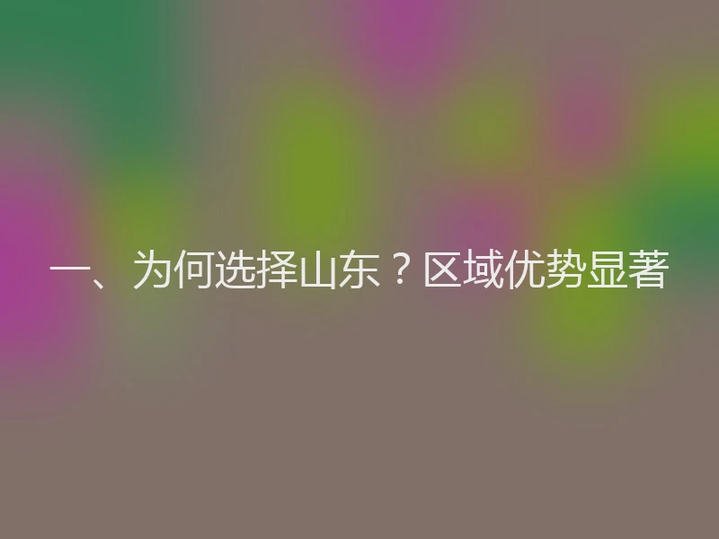 一、为何选择山东？区域优势显著