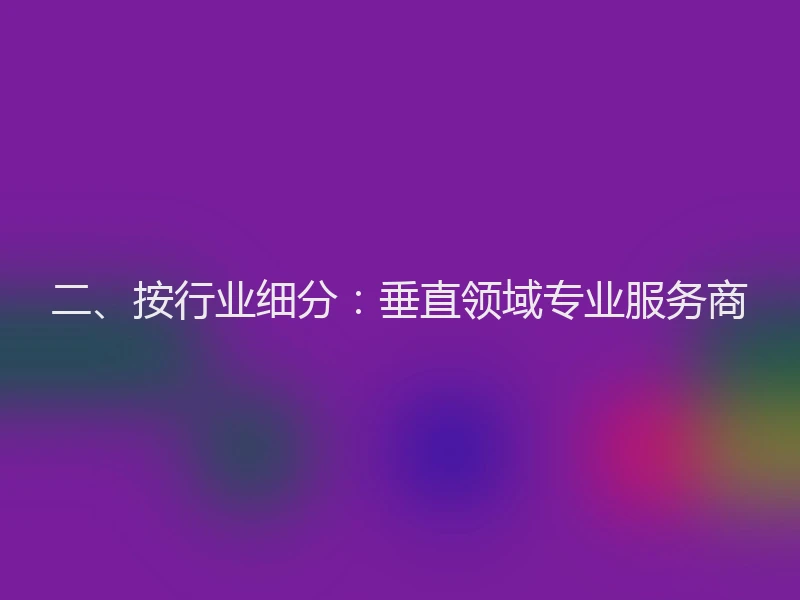 二、按行业细分：垂直领域专业服务商