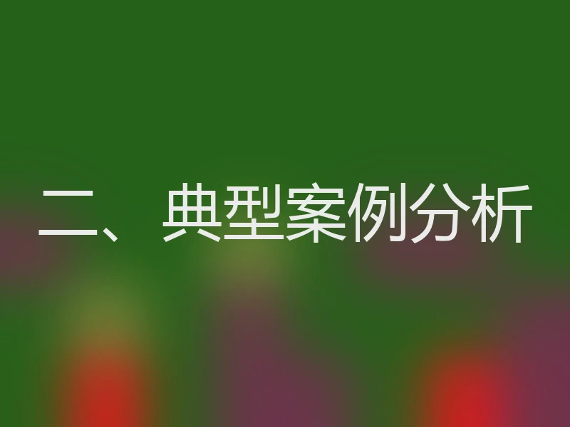 二、典型案例分析