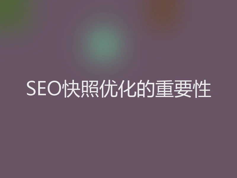 SEO快照优化的重要性