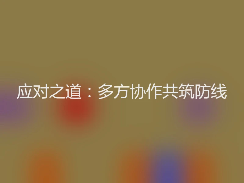 应对之道：多方协作共筑防线