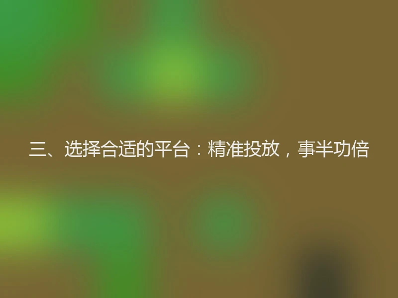 三、选择合适的平台：精准投放，事半功倍