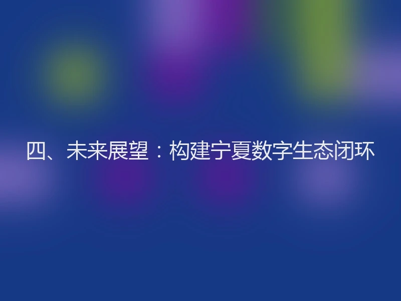 四、未来展望：构建宁夏数字生态闭环