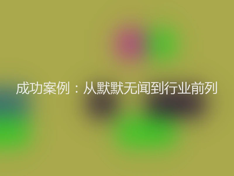成功案例：从默默无闻到行业前列