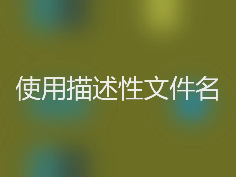使用描述性文件名