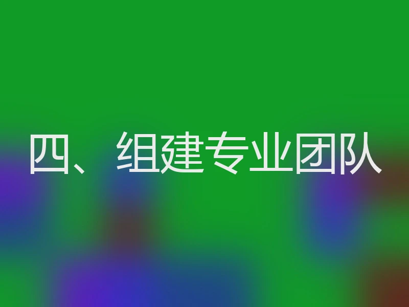 四、组建专业团队