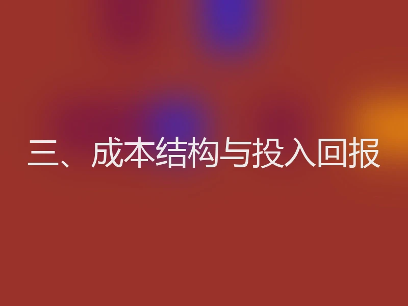 三、成本结构与投入回报