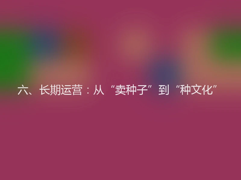 六、长期运营：从“卖种子”到“种文化”