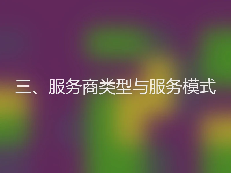 三、服务商类型与服务模式