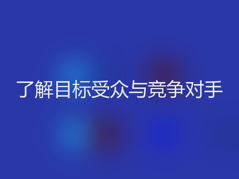 了解目标受众与竞争对手