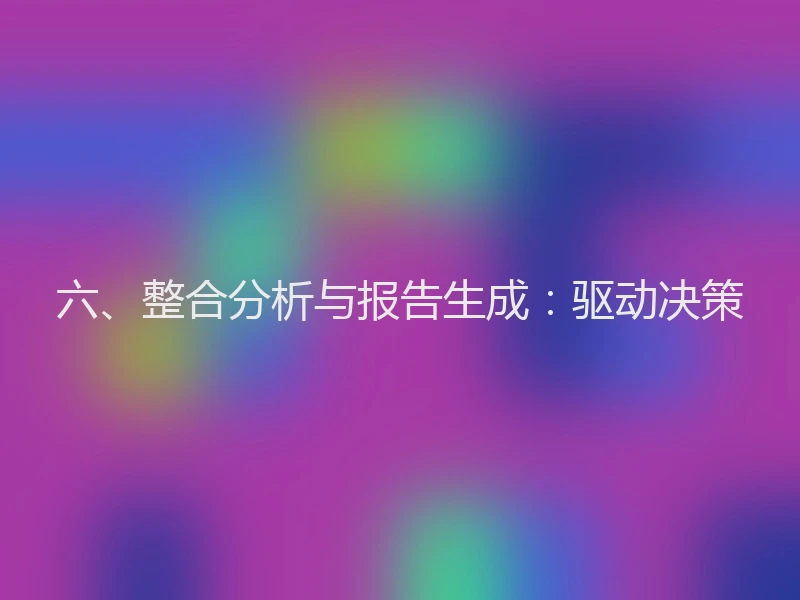 六、整合分析与报告生成：驱动决策