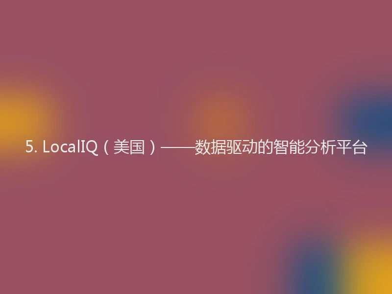 5. LocalIQ（美国）——数据驱动的智能分析平台