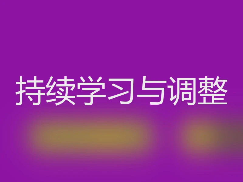 持续学习与调整