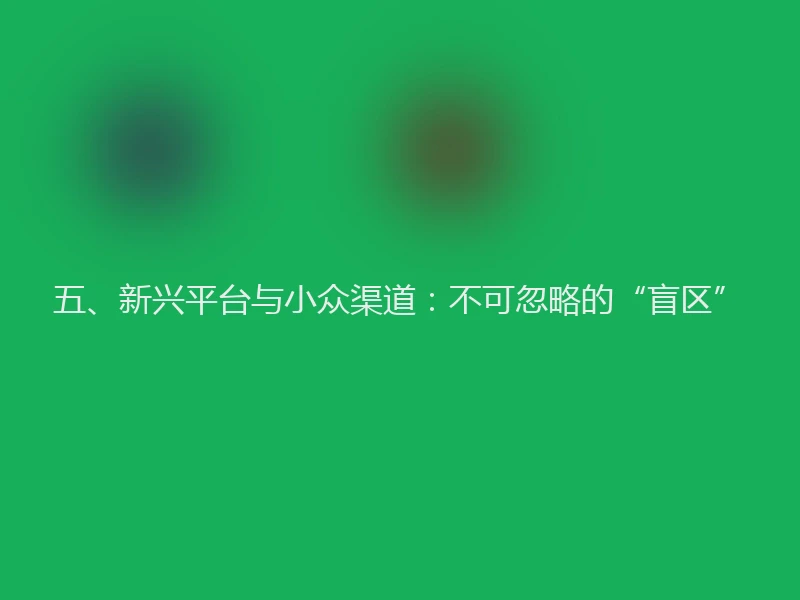 五、新兴平台与小众渠道：不可忽略的“盲区”