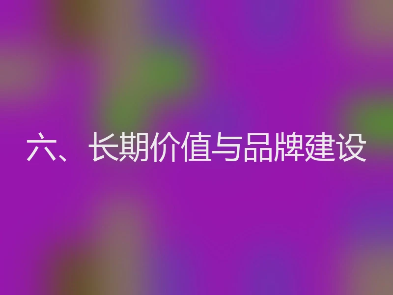 六、长期价值与品牌建设