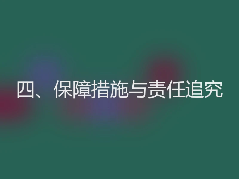 四、保障措施与责任追究