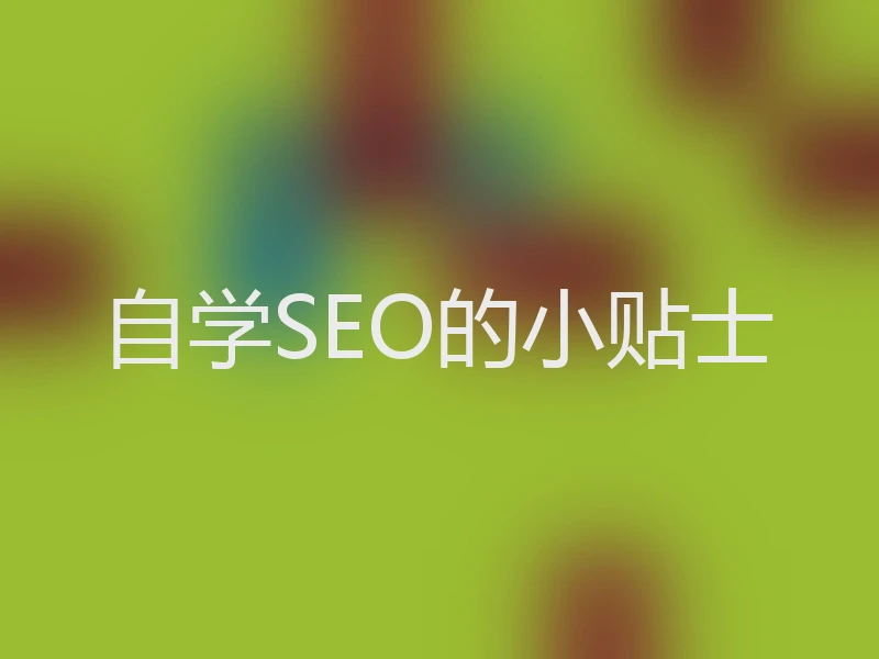自学SEO的小贴士