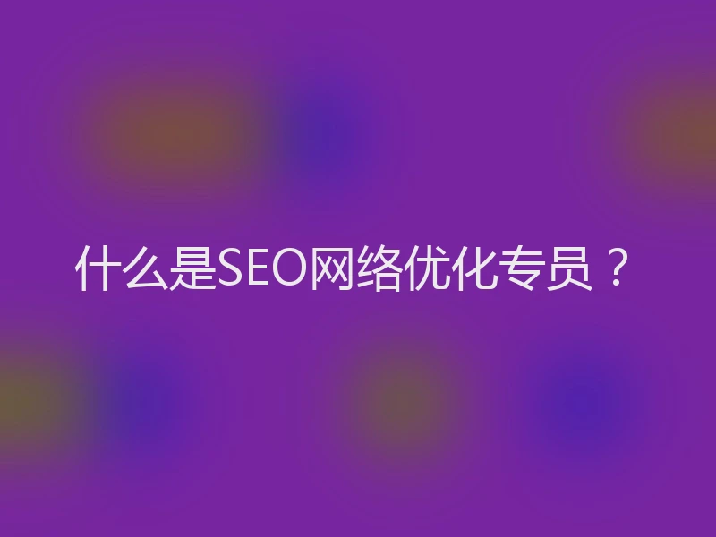 什么是SEO网络优化专员？
