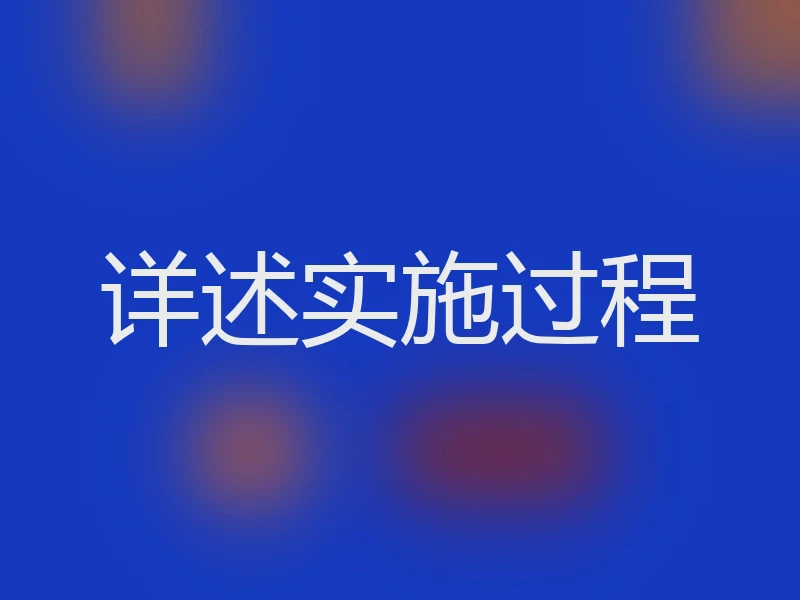 详述实施过程