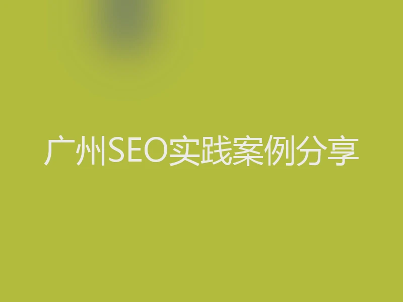 广州SEO实践案例分享