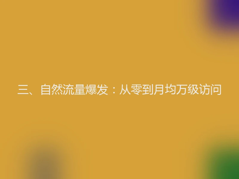 三、自然流量爆发：从零到月均万级访问
