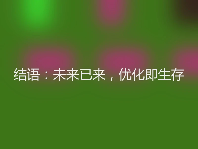 结语：未来已来，优化即生存