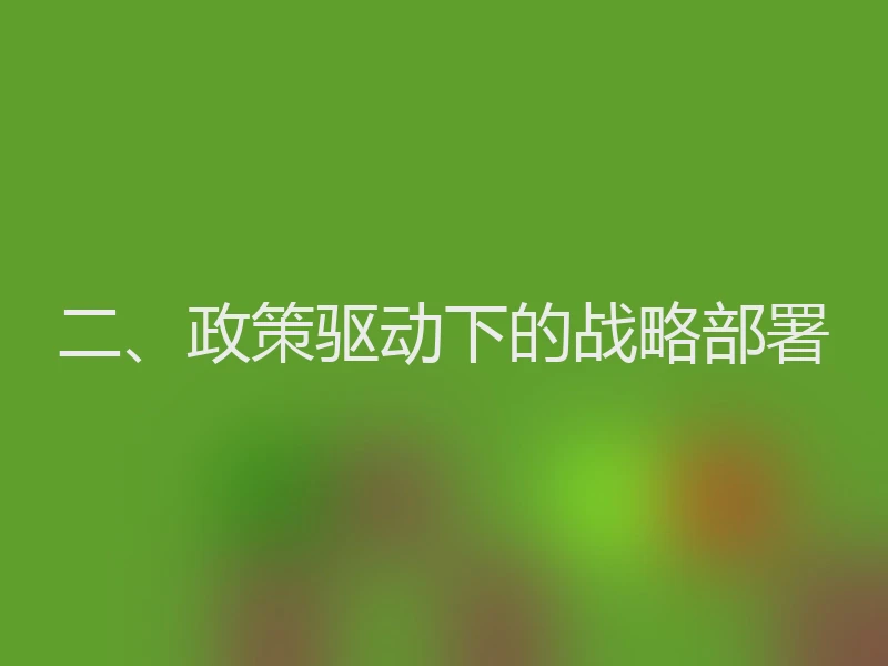 二、政策驱动下的战略部署