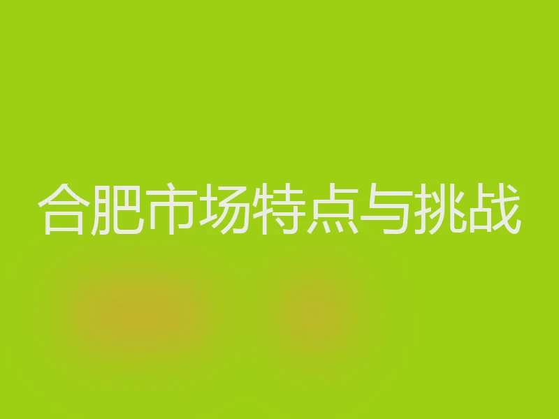 合肥市场特点与挑战
