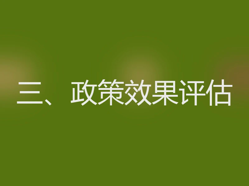 三、政策效果评估