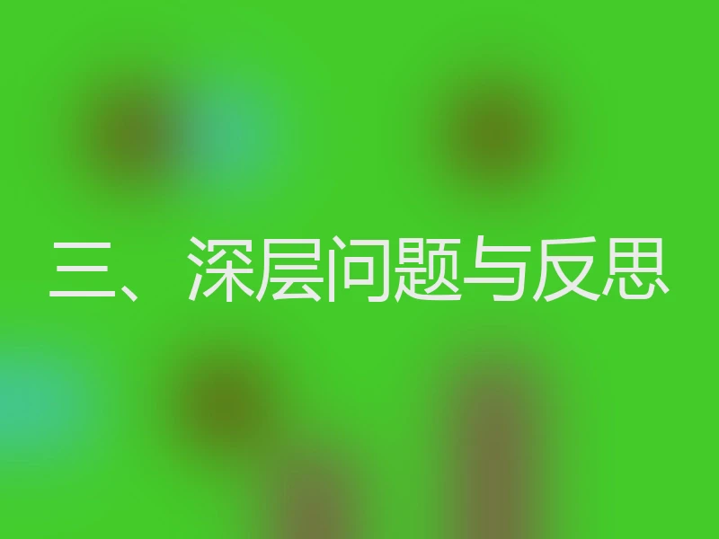 三、深层问题与反思