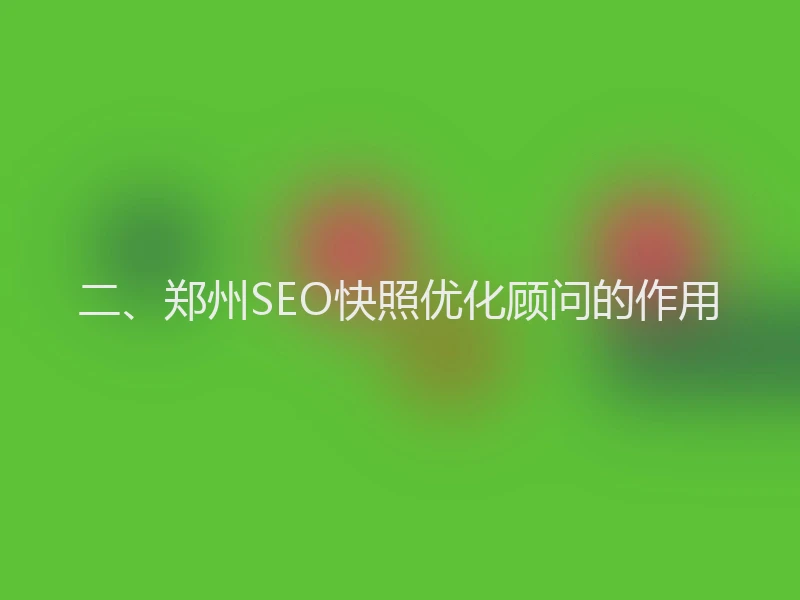 二、郑州SEO快照优化顾问的作用