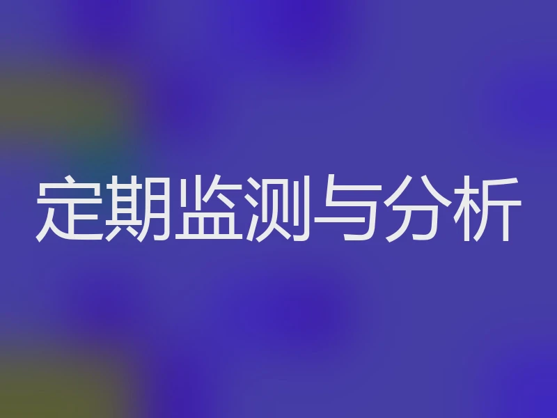 定期监测与分析