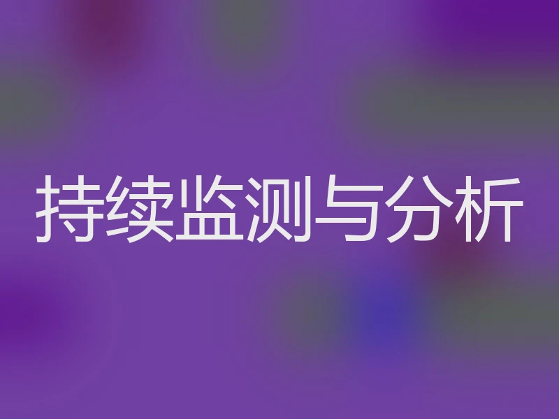 持续监测与分析