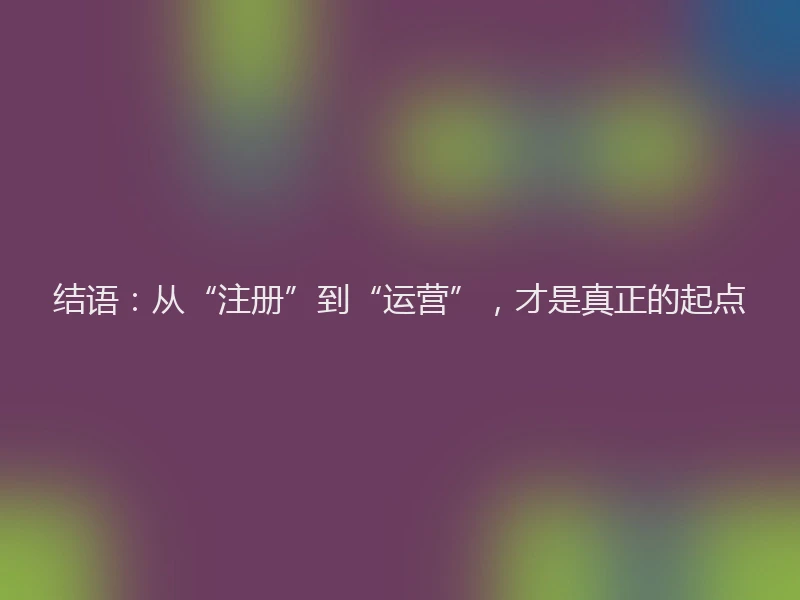 结语：从“注册”到“运营”，才是真正的起点