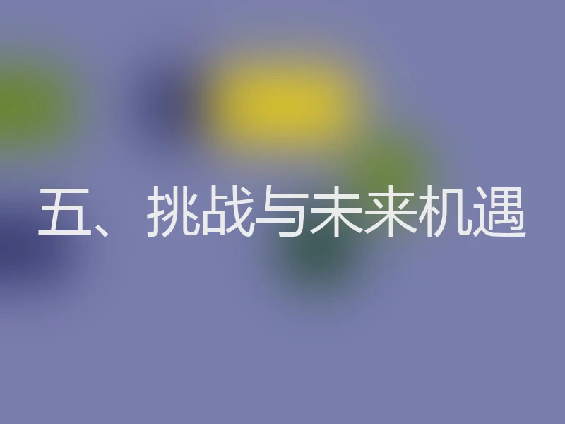 五、挑战与未来机遇