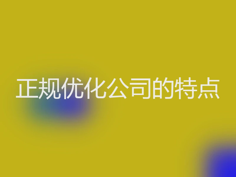 正规优化公司的特点