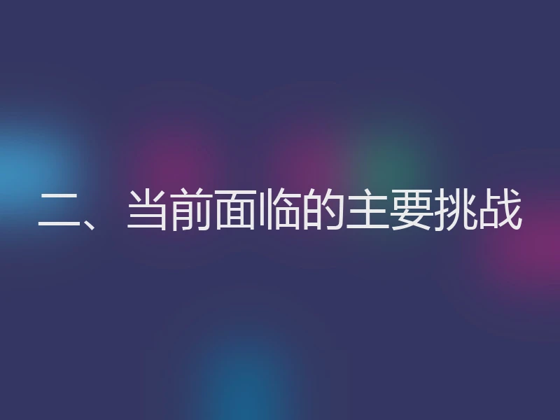 二、当前面临的主要挑战